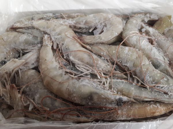 frozen shrimp from Brazil supplied by Leardini Pescados Ltda. - Frozen Frozen Common Shrimp & Prawn