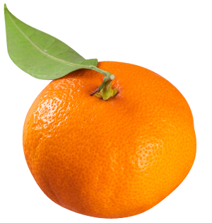 Fresh Whole Mandarin from Spain supplied by FRUTOMAS EXPORT, S.L. - Tangerine - Orri (=Or=Orr=Jaffa Orri) Fresh Mandarin