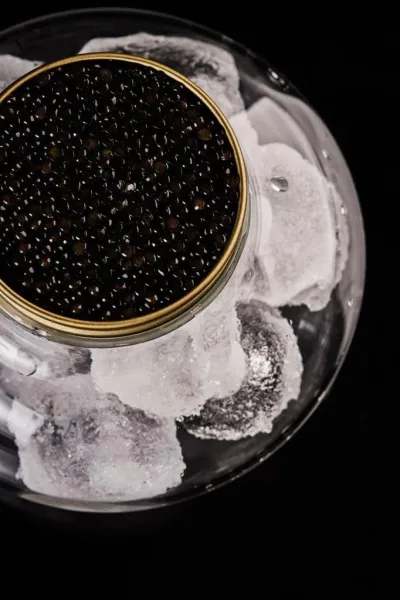 Sturgeon Caviar from 영국 supplied by Tsarine Caviar - Roe (=Caviar) 신선 철갑상어