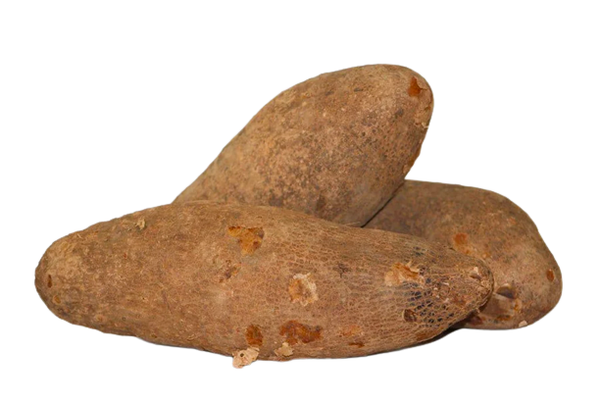 Whole Yam from Nigeria supplied by Feed All Foods & Farm - Whole Yam