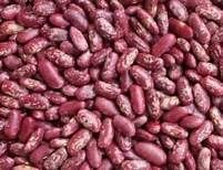 Red Kidney Beans from United States supplied by ICAMED - Red Kidney Beans
