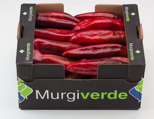 Organic Peppers Red Snack from 스페인 supplied by MurgiVerde Soc. Coop. Andaluza - Sweet 신선 피망