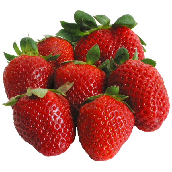 Strawberry from 네덜란드 supplied by Fayad's Fruits & Vegetables B.v. - Fresh (=Chilled) 신선 딸기