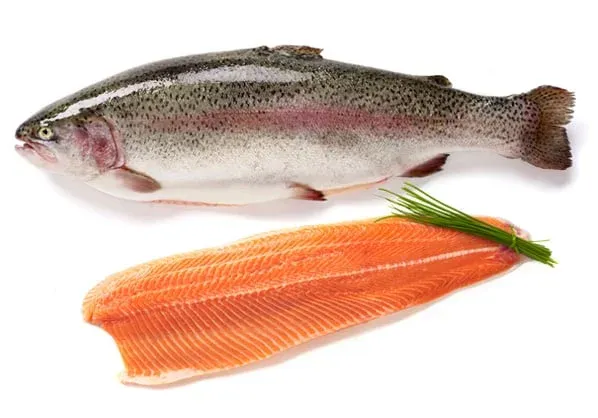 Fresh Trout from 핀란드 supplied by Nordic Trout - Roe (=Red Caviar =Ikura) 냉동 송어