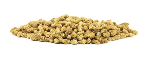 Mulberry from 이란 supplied by Blumental Bayern GmbH - White Mulberry 말린 오디