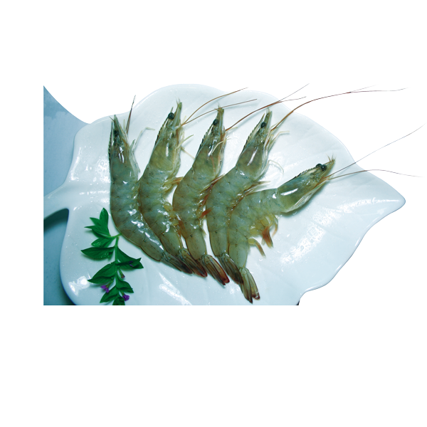 Raw Shrimp from 중국 supplied by Fuqing Chaofa Aquatic Industry Co., Ltd - Whole 냉동 새우