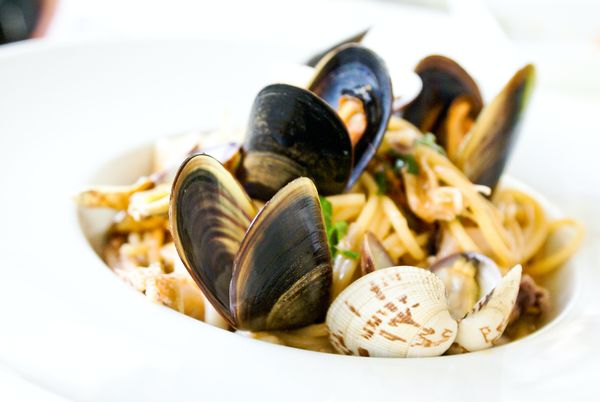 Fresh Mussels from South Africa supplied by Fishmonger - Live Fresh Mussel