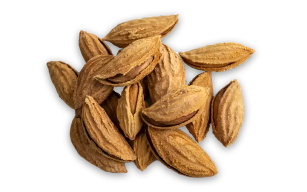 Almond from United States supplied by Monte Vista Farming Company - Brown Almond Kernel