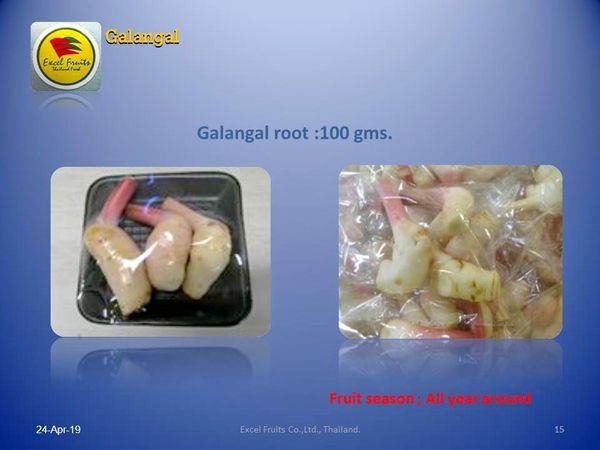 Galangal from 태국 supplied by Excel Fruits - Fresh (=Chilled) 갈랑갈