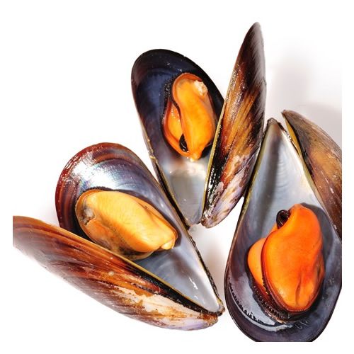 Mussels from 영국 supplied by Premier Seafoods Ltd - Live 냉동 홍합