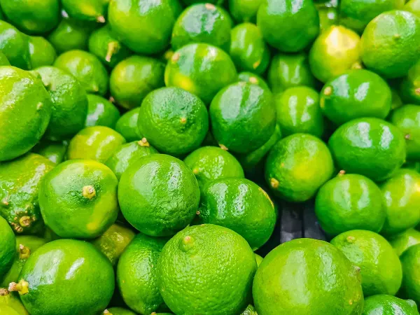 Fresh Lime from 독일 supplied by OGL Food Trade Lebensmittelvertrieb Ltd. - Fresh (=Chilled) 신선 라임