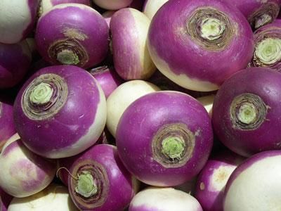 Turnip from Portugal supplied by Camposol - Purple Top Varieties Turnip