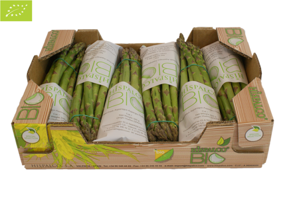 Asparagus from 스페인 supplied by HISPALCO S.A. - Whole 신선 아스파라거스