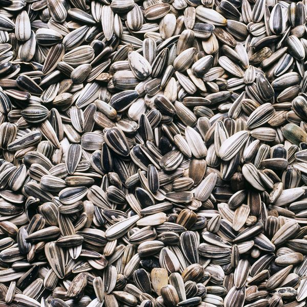 Sunflower Seed from China supplied by Heesure Company - Unhulled Sunflower Seed