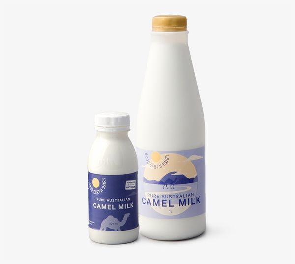 Camel Milk from Australia supplied by Good Earth Dairy - Medium Camel Milk