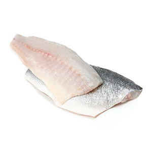 Frozen Sea Bass Fillet from Greece supplied by Kefalonia Fisheries - European Bass (=Dicentrarchus labrax=Branzino) Frozen Seabass