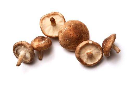 Shiitake Mushroom from Poland supplied by PMARK Mariusz Kania - Whole Shiitake Mushroom