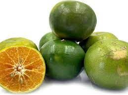 Dalandan (Philippine Orange) Extract from 필리핀 supplied by VFC Condiments International Corporation - Extract 신선 오렌지