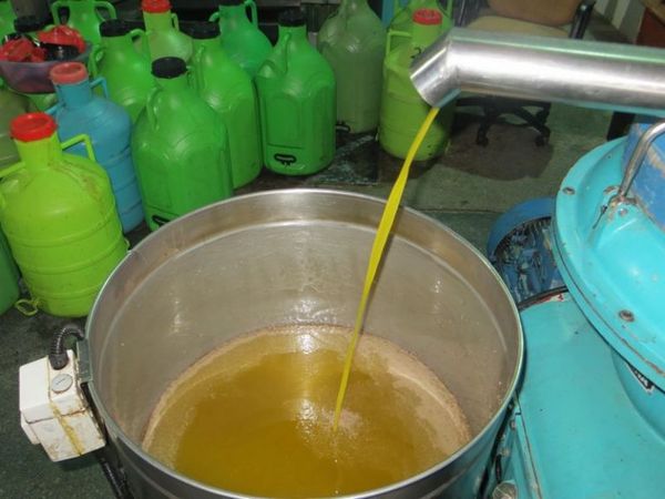 Olive Oil from Turkiye supplied by Hisar Olives - Conventional Olive Oil