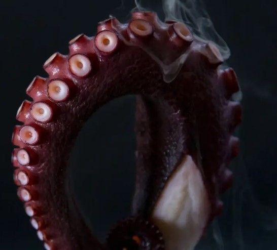 Smoked Octopus from United Kingdom supplied by Poseidon Smokery Ltd - Fresh (=Chilled=Raw) Fresh Octopus