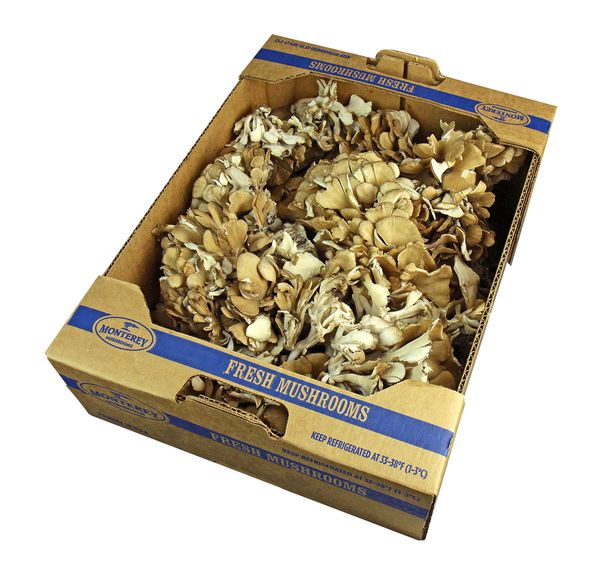 Maitake Mushroom from 미국 supplied by Monterey Mushrooms - Fresh (=Chilled) 마이다케버섯