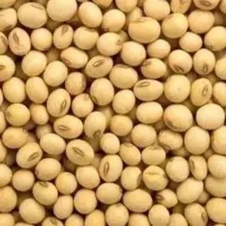 Soyabeans from 나이지리아 supplied by D Trust Agro Products - 그로보간 대두