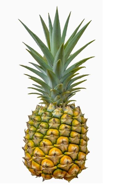 pineapple juice from 베트남 supplied by Taiwan Green Nation Corp. - FC (=From Concentrate) 파인애플주스