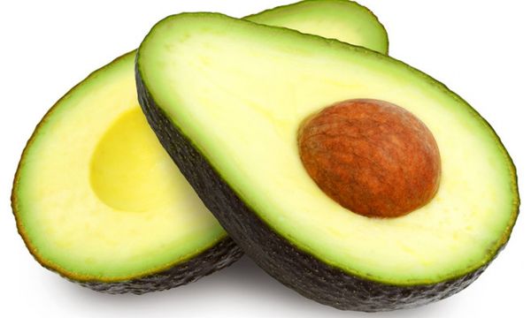 Fresh Whole Avocado from Italy supplied by PEVIANI SPA - Whole Fresh Avocado