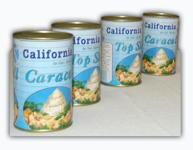 Canned Snail Panocha from 멕시코 supplied by Sociedad Cooperativa de Producción Pesquera California de San Ignacio - Preserved (=Canned) 기타 수산물 가공품