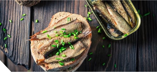 Canned Sardines from 미국 supplied by Season Brand - Preserved (=Canned) 정어리 가공품