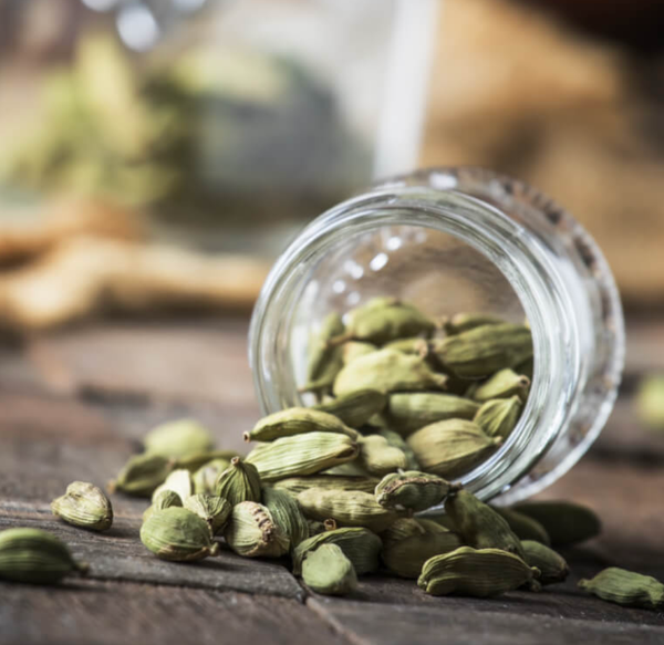 Cardamom from 스리랑카 supplied by Ceylon Spice Company (CSC) - Fresh 카다멈