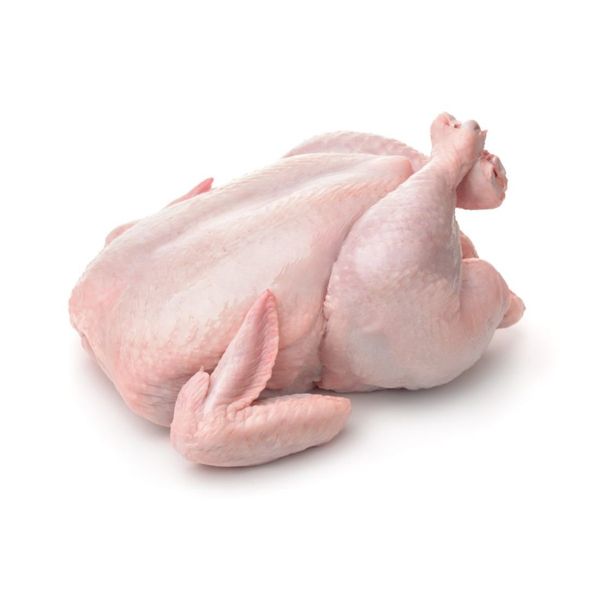 Fresh Chicken Meat from United States supplied by Harrison Poultry, Inc - Fresh (=Chilled=Raw) Frozen Whole Chicken
