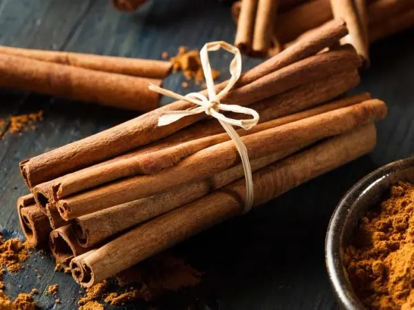 Whole Cinnamon from Greece supplied by MANOS & CO. OE CRETANHERBS - Sticks (=Quills) Cinnamon