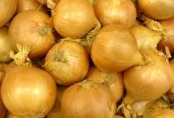Fresh Onion from 독일 supplied by Spinger Gemüseverarbeitunsges. mbH - Sliced 신선 양파