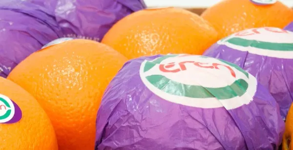 Navelina Orange from 튀르키예 supplied by Eren Tarim - 주황색 신선 오렌지