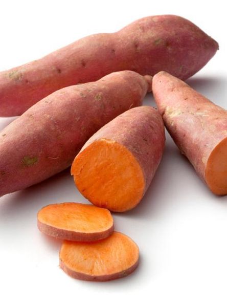 Sweet Potato from 이집트 supplied by First choice - 고구마