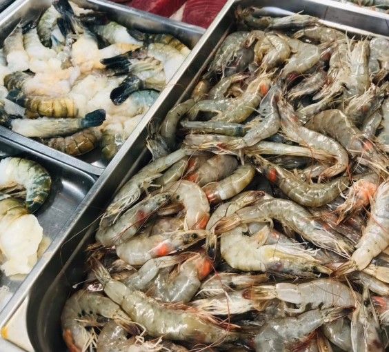 Prawn from 영국 supplied by Sunderland Live Lobster, Prawns & Fish Ltd. - Shell On (=Unpeeled) 신선 새우