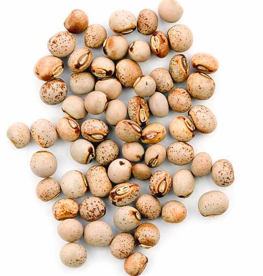 Pigeon Pea from Myanmar [Burma] supplied by R.K Brothers Limited - As per customer's request Dried Pigeon Pea