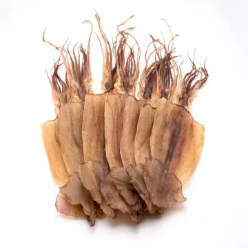 Dried Squid from China supplied by Donggang Jindu Food Co.,Ltd. - Preserved (=Canned) Frozen Squid