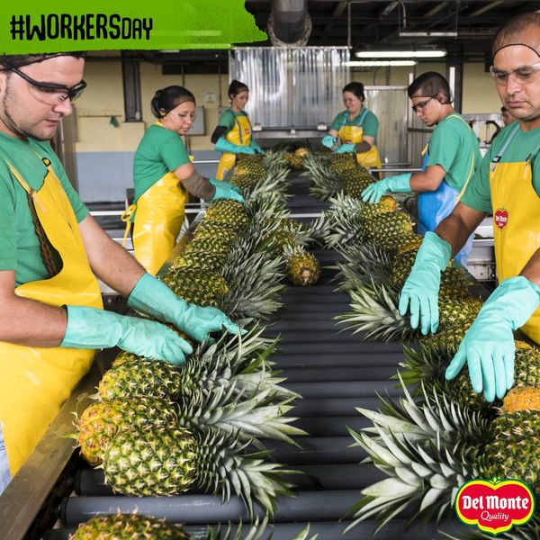 Pineapple from 프랑스 supplied by DEL MONTE FOODS FRANCE - 크라운 포함(=Crowned) 신선 파인애플