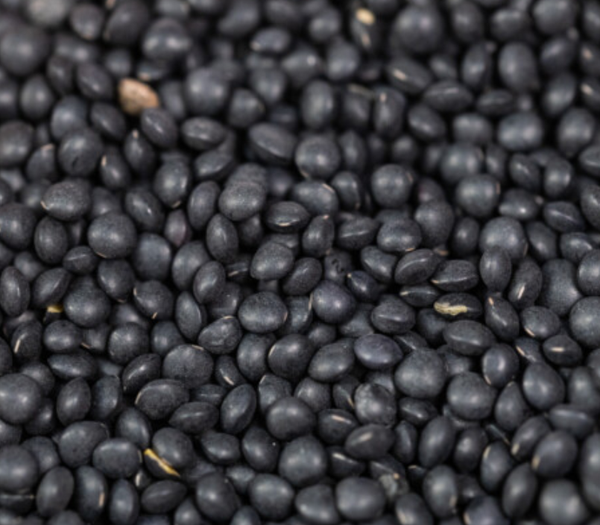 Organic lentils from 캐나다 supplied by Ziegler & Co. GmbH - Black - Beluga Lentil 말린 렌틸