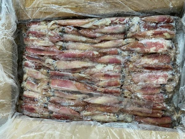 Frozen Squid from Malaysia supplied by Irama Overseas Food Industries Sdn Bhd - Skin On Frozen Squid