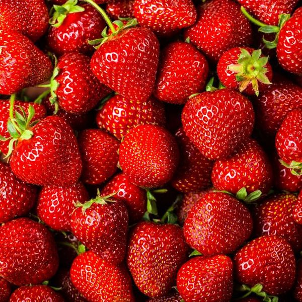 Strawberry from 폴란드 supplied by Limax Sp. z o.o. - 밝은 빨간색 신선 딸기
