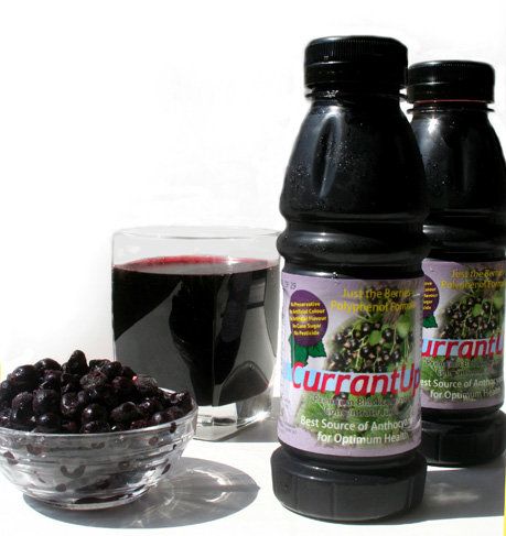 Currant Juice from United States supplied by Just the Berries - Black Currant