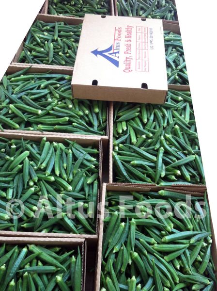 Fresh Okra from Uganda supplied by Altus Uganda Ltd - Green Fresh Okra