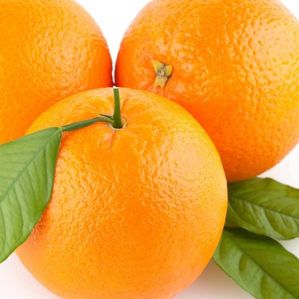 Fresh Orange from 파키스탄 supplied by Ch International Citrus - Raw 신선 오렌지