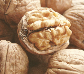 Walnut from 독일 supplied by IMARTI NATURKOST GMBH&CO.KG - 갈색 생호두