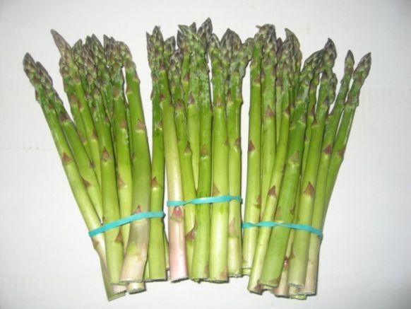 Fresh green asparagus from 스페인 supplied by HUERTAS BAJAS, AGRICOLAS Y GANADERAS, C.B. - Green 신선 아스파라거스