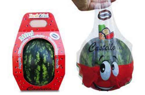 Watermelon from 이탈리아 supplied by Ortofrutta Castello - Fresh (=Chilled) 신선 수박