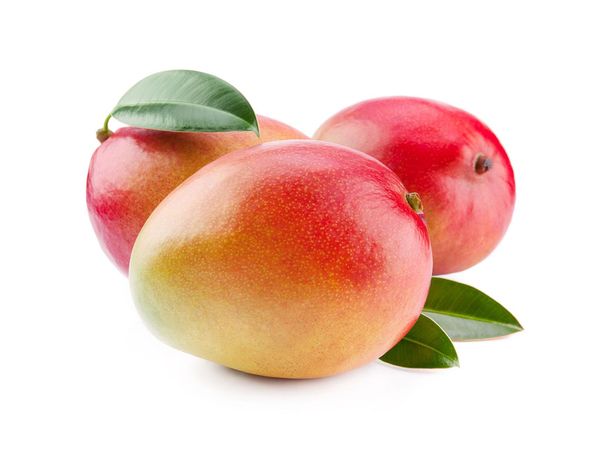 Fresh Mango from 케냐 supplied by Marstran Fresh - Whole 신선 망고